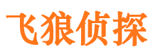 宜川市私家侦探公司